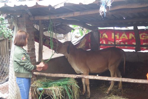 'Chìa khóa' giúp người dân vươn lên thoát nghèo bền vững