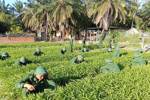 Điểm sáng tăng gia sản xuất ở biên giới biển Bình Định