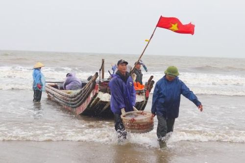 Thanh Hóa: Ngư dân phấn khởi khi sứa biển vào mùa, được giá
