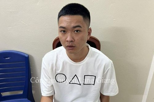Công an Bắc Giang tìm bị hại của 2 vụ lừa đảo chiếm đoạt tài sản