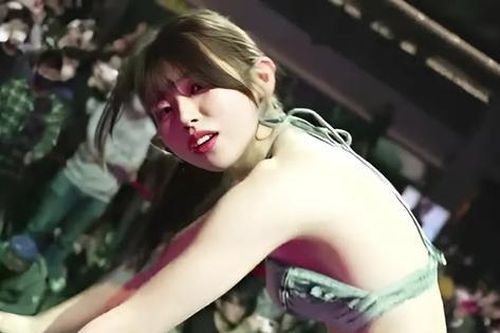 Lễ hội quy tụ toàn diễn viên phim 18+ bị chỉ trích