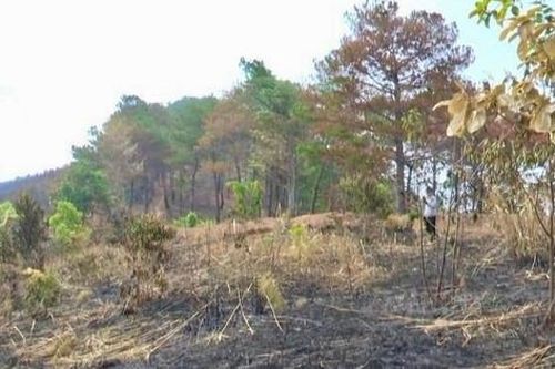 Cháy gần 9ha rừng ở Kon Tum, hàng trăm cán bộ, chiến sỹ tham gia dập lửa