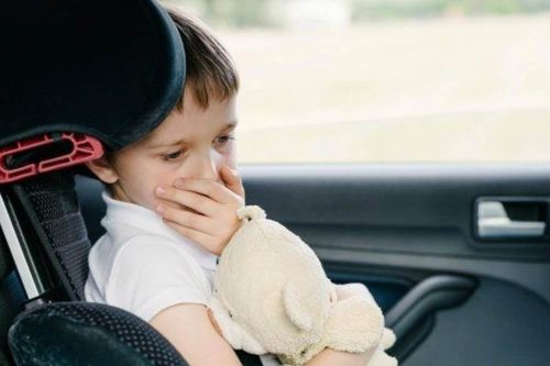Nội thất ô tô ẩm mốc, bốc mùi và cách xử lý đơn giản không phải ai cũng biết