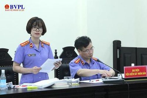 Viện kiểm sát đề nghị mức án với Chủ tịch Tập đoàn Vimedimex và 10 bị cáo