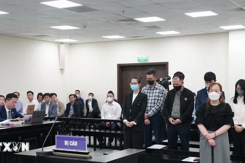 Mở lại phiên tòa xét xử cựu Chủ tịch Vimedimex và đồng phạm
