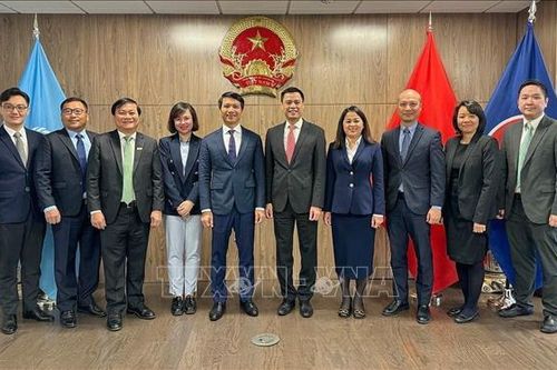 Củng cố vị thế, vai trò của thanh niên Việt Nam trên trường quốc tế