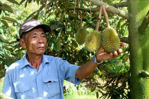Tỷ phú nông dân nhờ dám nghĩ, dám làm