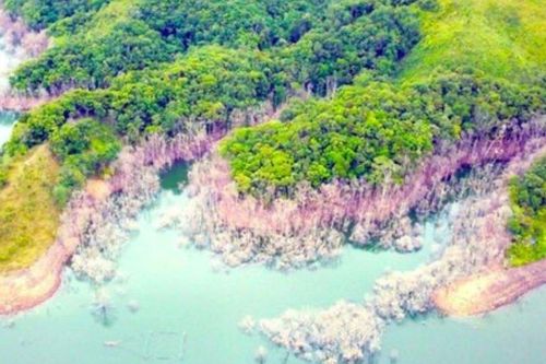 Kon Tum: Đề nghị xử lý 15 cán bộ vụ hơn 25ha rừng bị chết úng