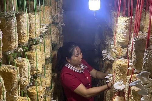 Nâng cao vị thế kinh tế của phụ nữ dân tộc thiểu số