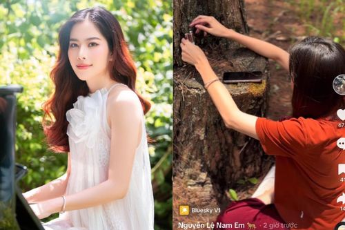 Nam Em làm gì để kiếm tiền sau khi hết đường quay lại showbiz?