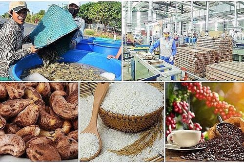 Bài 2: Xây dựng thương hiệu: Nút thắt do đâu?