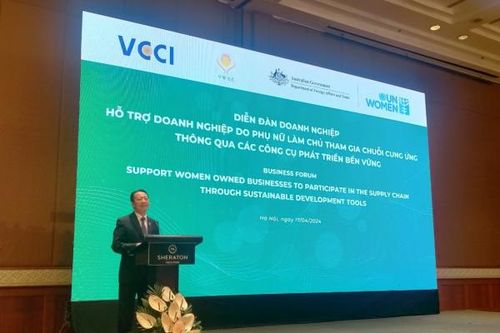 Doanh nghiệp có phụ nữ trong cơ cấu chủ sở hữu tại Việt Nam chiếm 51%