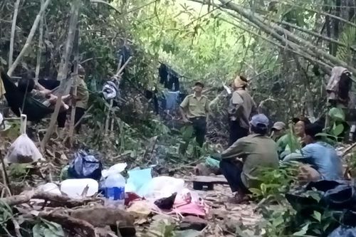 Ngăn chặn kịp thời nhiều người dân xâm nhập rừng trái phép để thu hái ươi