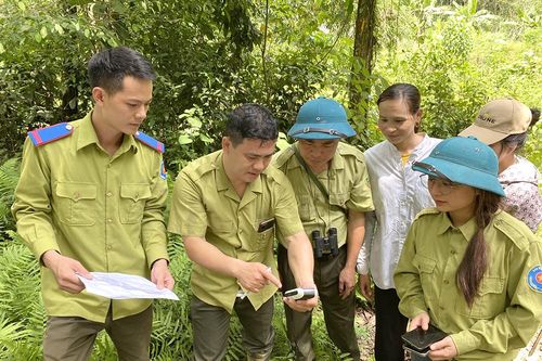 Ứng dụng công nghệ thông tin trong tuần tra, bảo vệ rừng