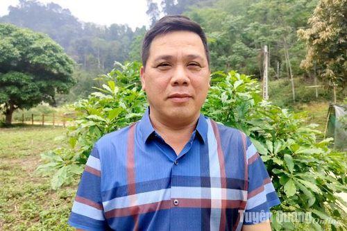 Người tiên phong ở Bản Bung