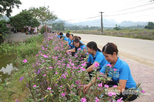 Những tuyến đường hoa hương sắc