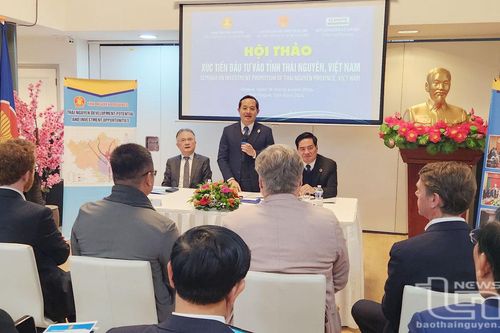 Thái Nguyên tổ chức Hội thảo xúc tiến đầu tư và thương mại tại Hà Lan