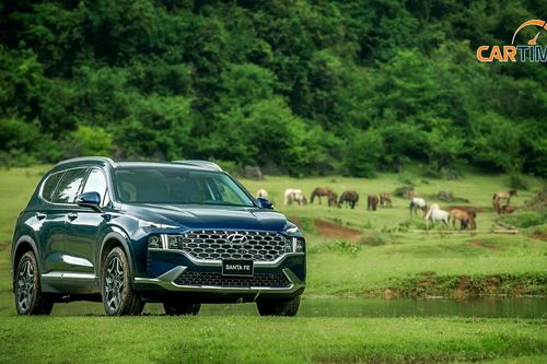 Doanh số xe bán ra của Hyundai trong tháng 3/2024 thay đổi ra sao?
