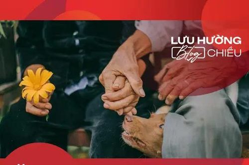 Hy sinh đổi lấy tin yêu vô bờ