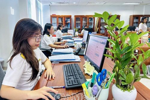 Chuẩn hóa dữ liệu mã số thuế cá nhân