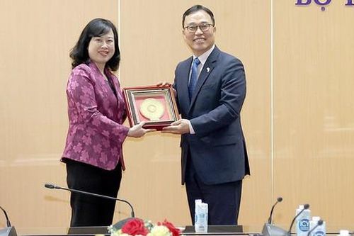Tiếp tục tăng cường quan hệ hợp tác về y tế giữa Việt Nam - Hàn Quốc