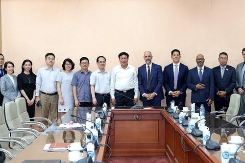 Bộ Y tế và Pfizer bàn thảo hợp tác phát triển thuốc công nghệ sinh học, ung thư, sản xuất vaccine tại Việt Nam