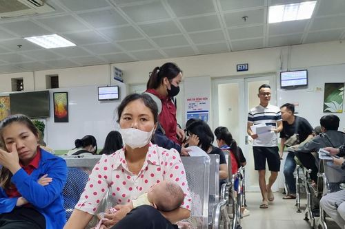 Nắng gắt, thận trọng với sốc nhiệt