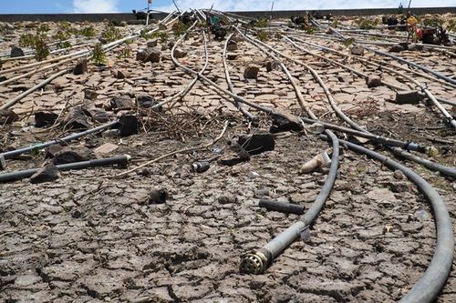Ninh Thuận khẩn trương vượt hạn khi hiện tượng El Nino tiếp tục duy trì