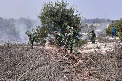 Thừa Thiên Huế: Cháy 2ha rừng tràm tại huyện Phong Điền