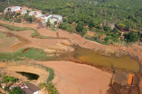 Gần 10.000 héc-ta cây trồng ở Đắk Nông bị 'thiêu đốt'