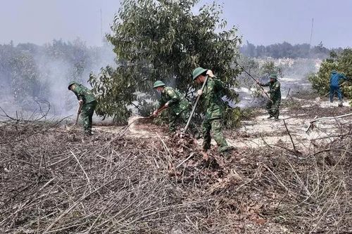 Cháy rừng tràm ở Huế