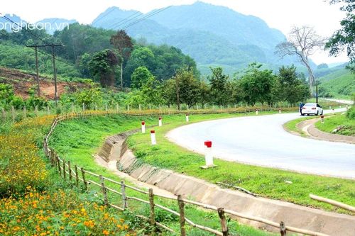 Đường hoa trên dốc Kẻ Lè ở Quỳ Châu