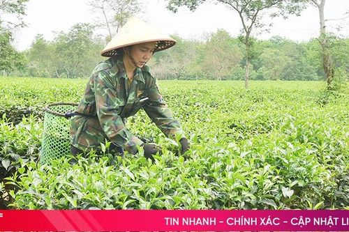 Huyện nắng nóng nhất Hà Tĩnh lên kịch bản ứng phó với nắng hạn
