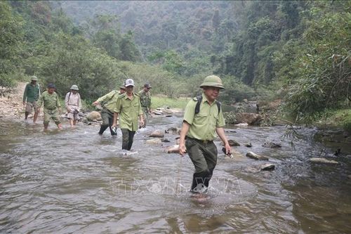 Một chuyến 'tuần rừng' trong đại ngàn Pù Huống