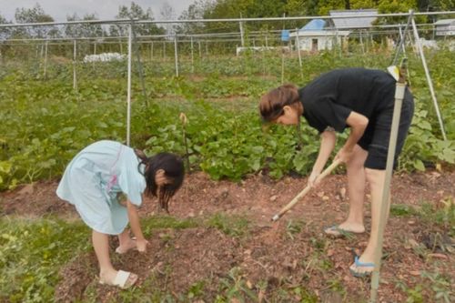 Hoa hậu Việt sinh 6 người con cho chồng đại gia, bán biệt thự 100 tỷ để về quê làm nông