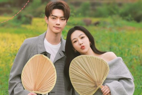 Phim mới của Dương Tử bị tố khai gian số liệu, thực chất thua xa Dữ Phượng Hành
