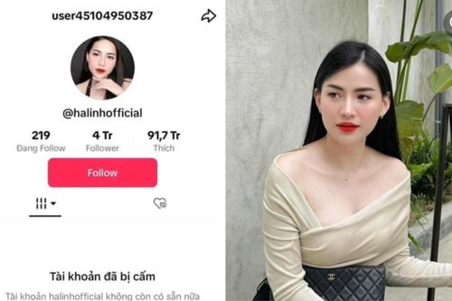 Chiến thần Võ Hà Linh chính thức 'bay màu' kênh Tiktok 4 triệu followers