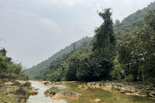 Tuyên Quang: Không đánh đổi tài nguyên rừng để phát triển du lịch