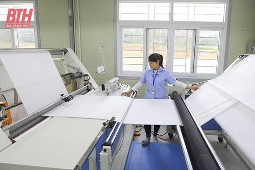 Ngọc Lặc triển khai các giải pháp phát triển kinh tế - xã hội