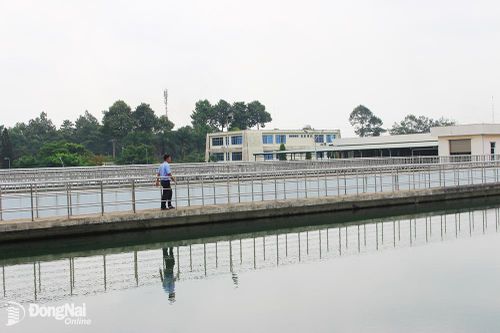Tiết kiệm nước sạch để ứng phó với nắng nóng kéo dài