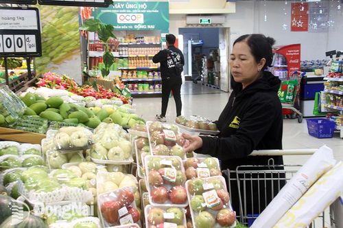 Nhiều chương trình khuyến mãi, ưu đãi lớn nhân dịp nghỉ lễ Giỗ Tổ Hùng Vương