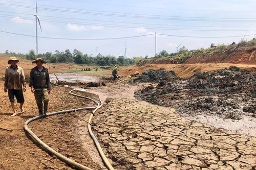 Gia Lai tìm giải pháp chống hạn cho cây trồng