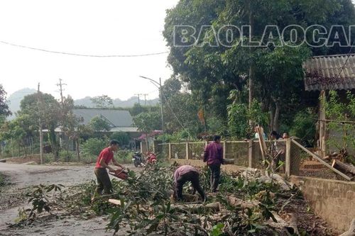 Kịp thời khắc phục hậu quả mưa dông đảm bảo giao thông trên địa bàn tỉnh