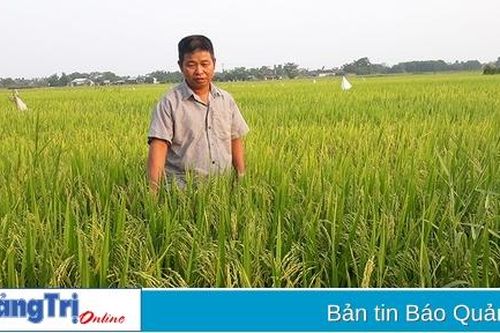 Triệu Phong triển khai chính sách phát triển nông nghiệp hàng hóa