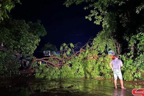Phù Yên: Khẩn trương khắc phục hậu quả do giông lốc gây ra