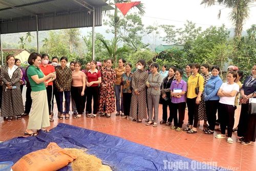 Trên 200 nông dân huyện Na Hang được hướng dẫn phát triển nông sản thực phẩm an toàn