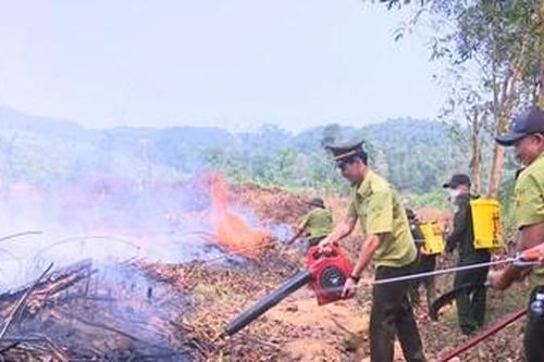 Diễn tập chữa cháy rừng tại Hương Trà