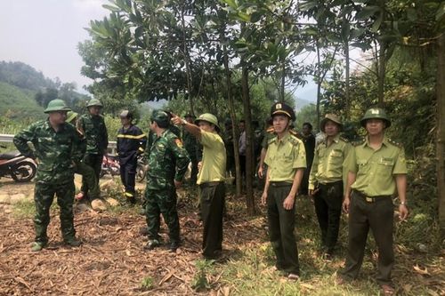 Rừng A Lưới bị cháy do sét đánh
