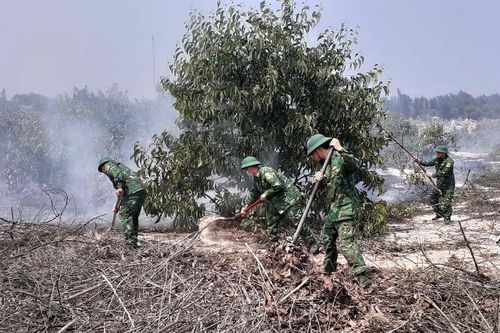 Cháy rừng tràm do người dân bất cẩn