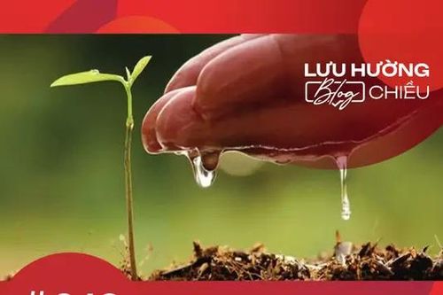 Ươm một mầm dịu dàng